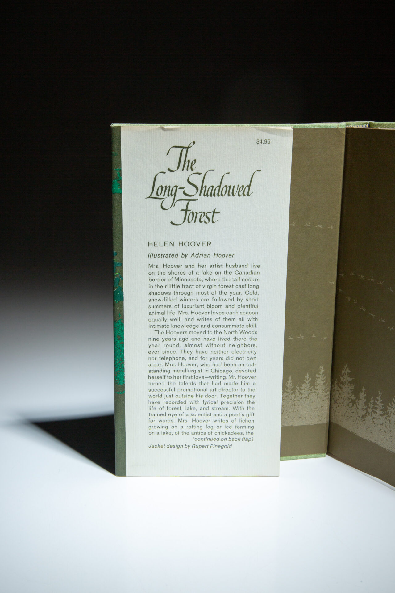 The Long-Shadowed Forest - Image 2