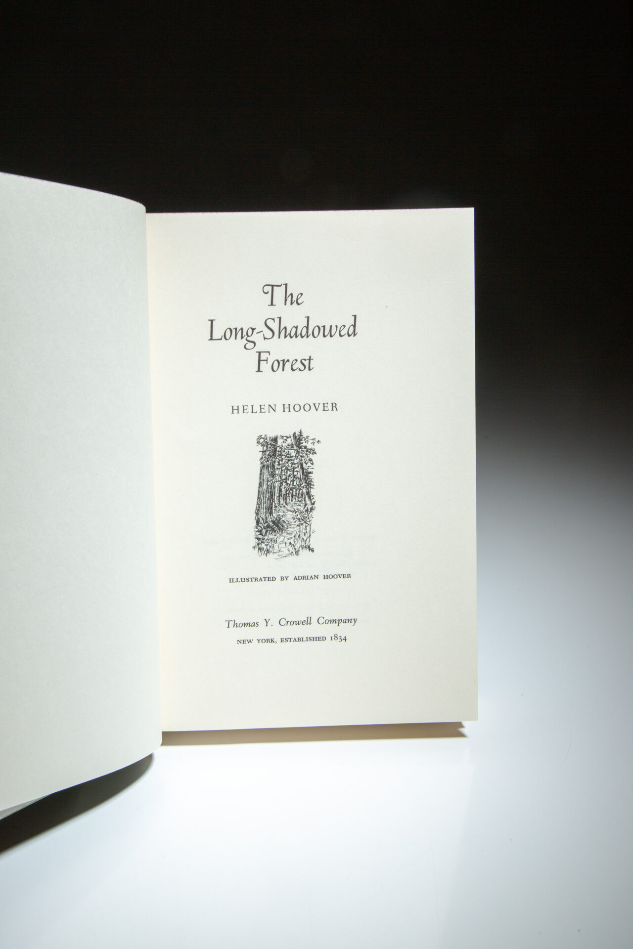 The Long-Shadowed Forest - Image 4
