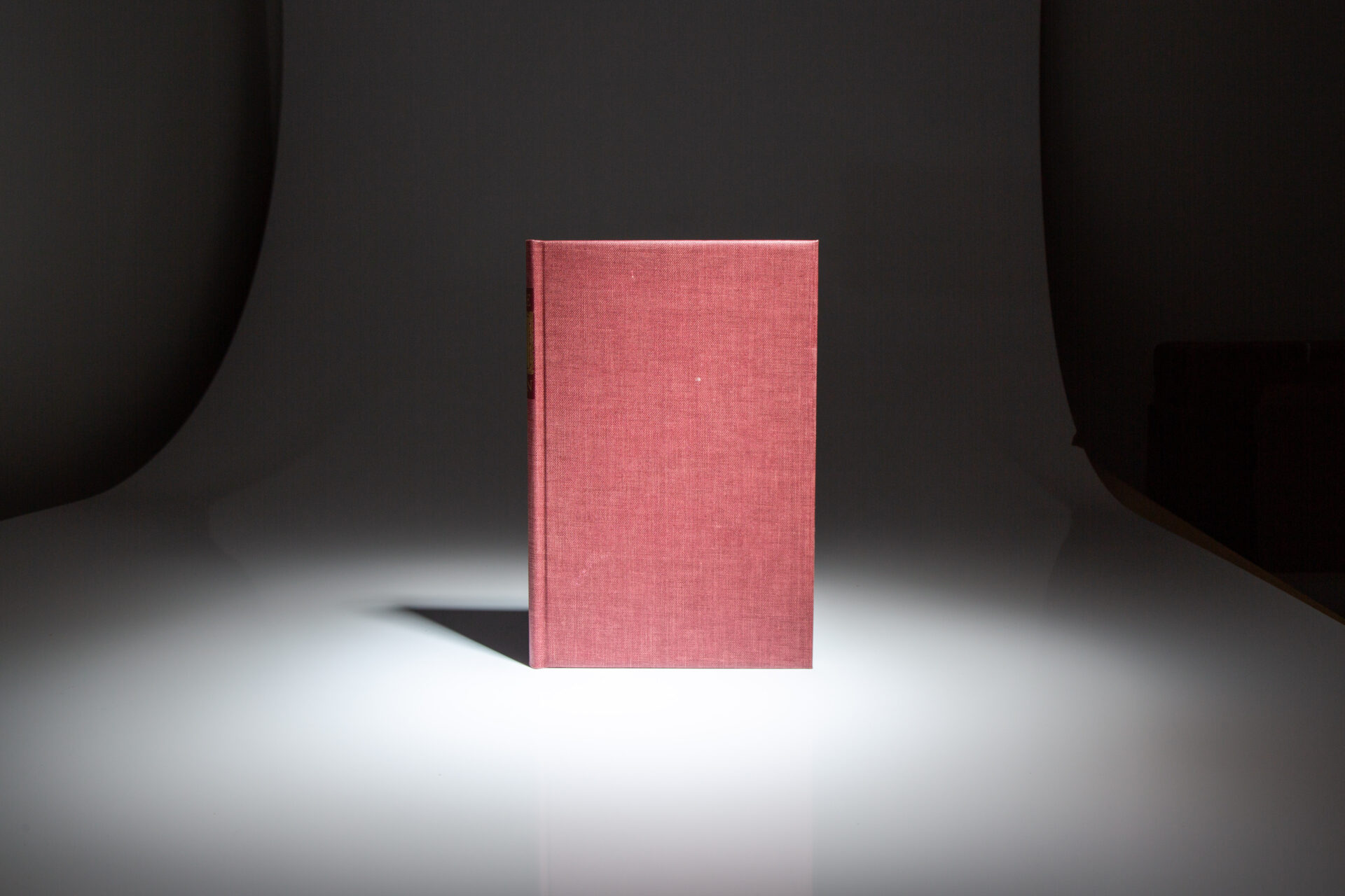 The Invisible Man - Image 5