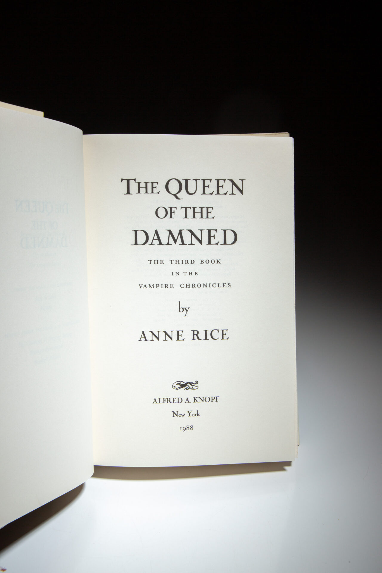 The Queen of the Damned - Image 4