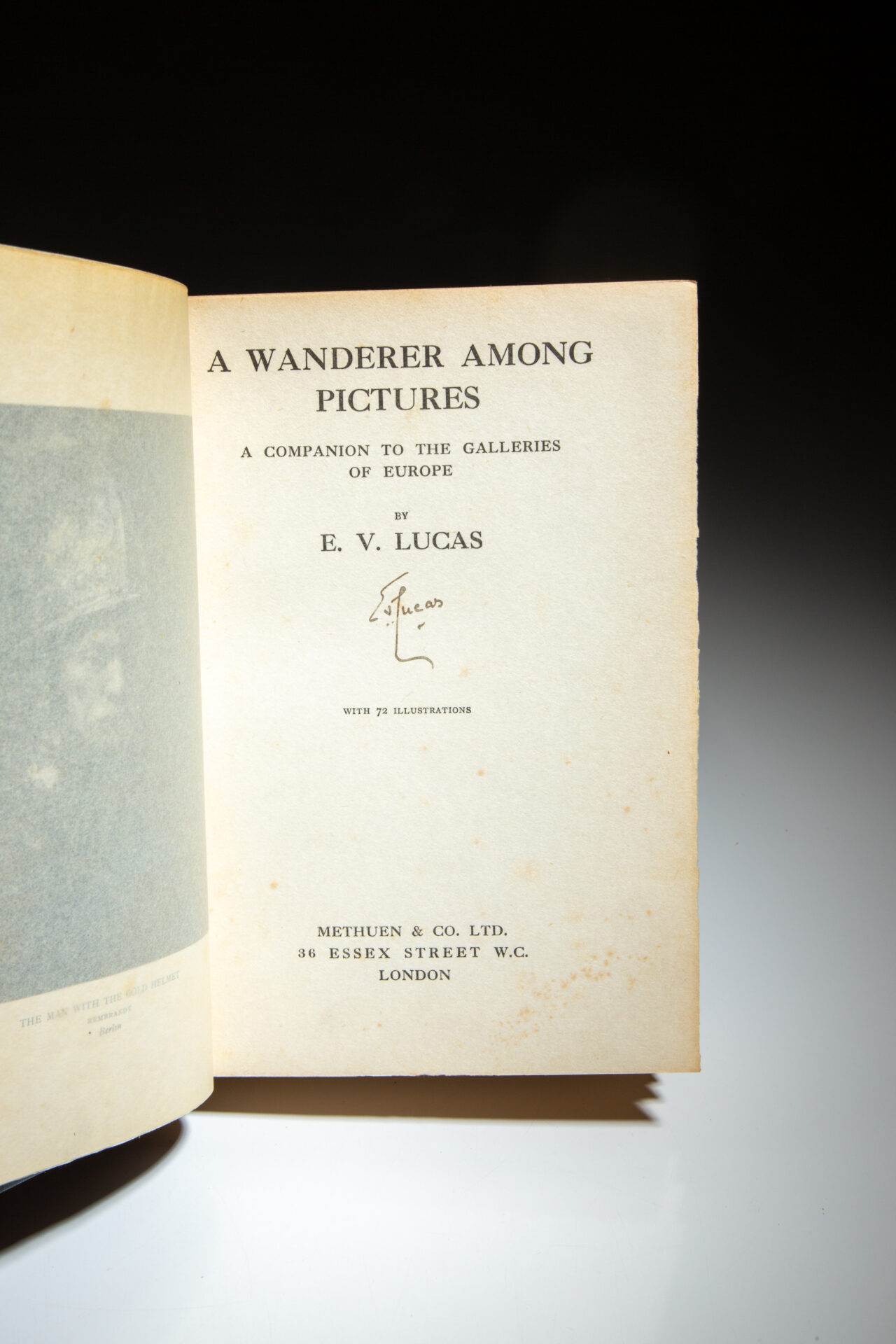 A Wanderer Among Pictures - Image 3