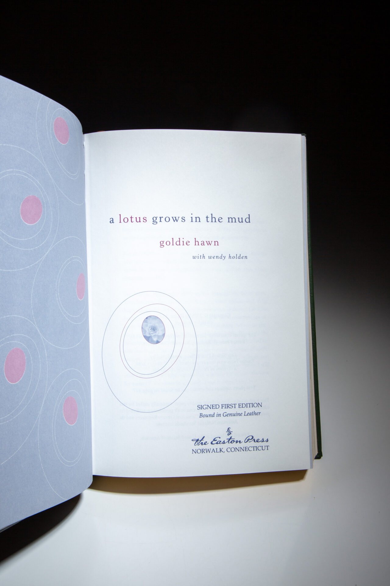 A Lotus Grows in the Mud - Image 3