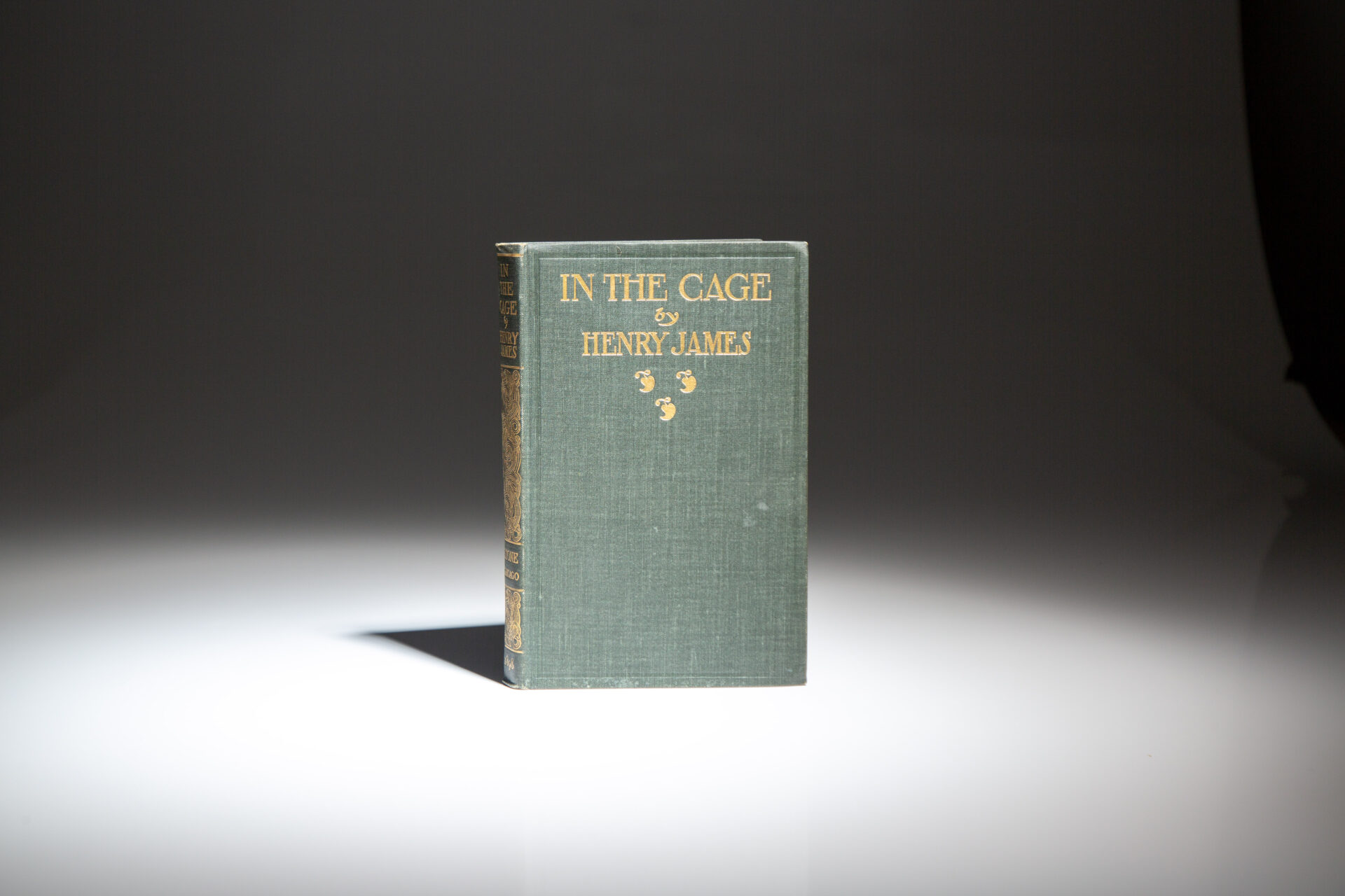 In The Cage - Image 4