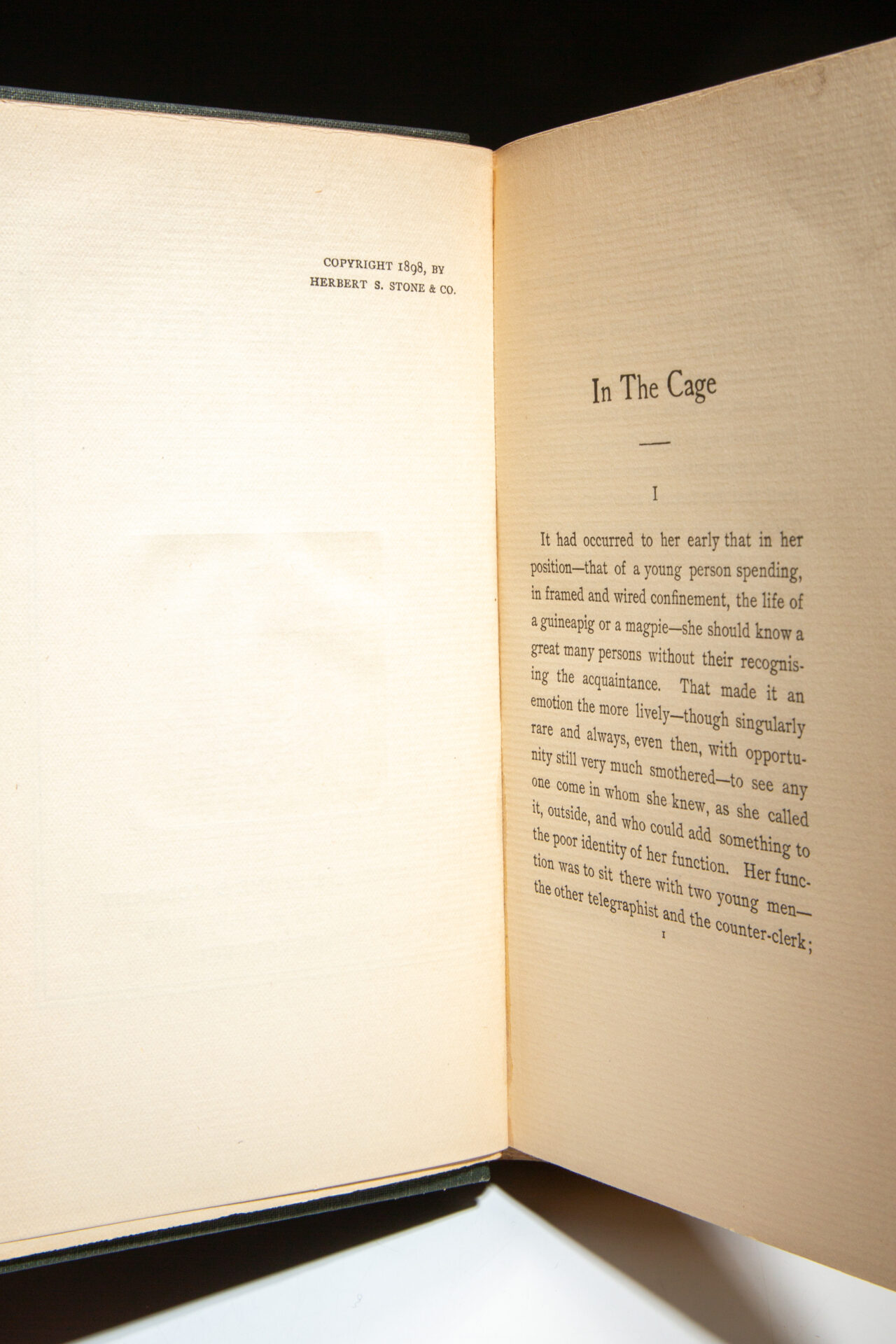 In The Cage - Image 3