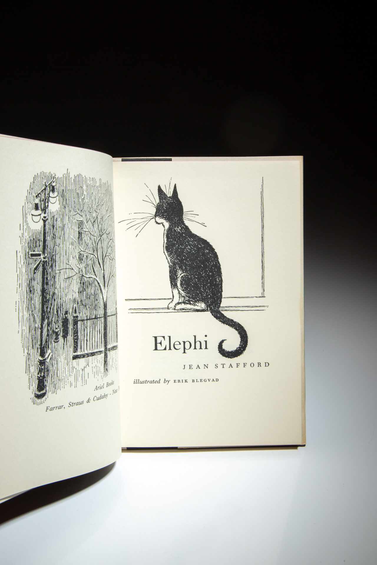 Elephi - Image 4