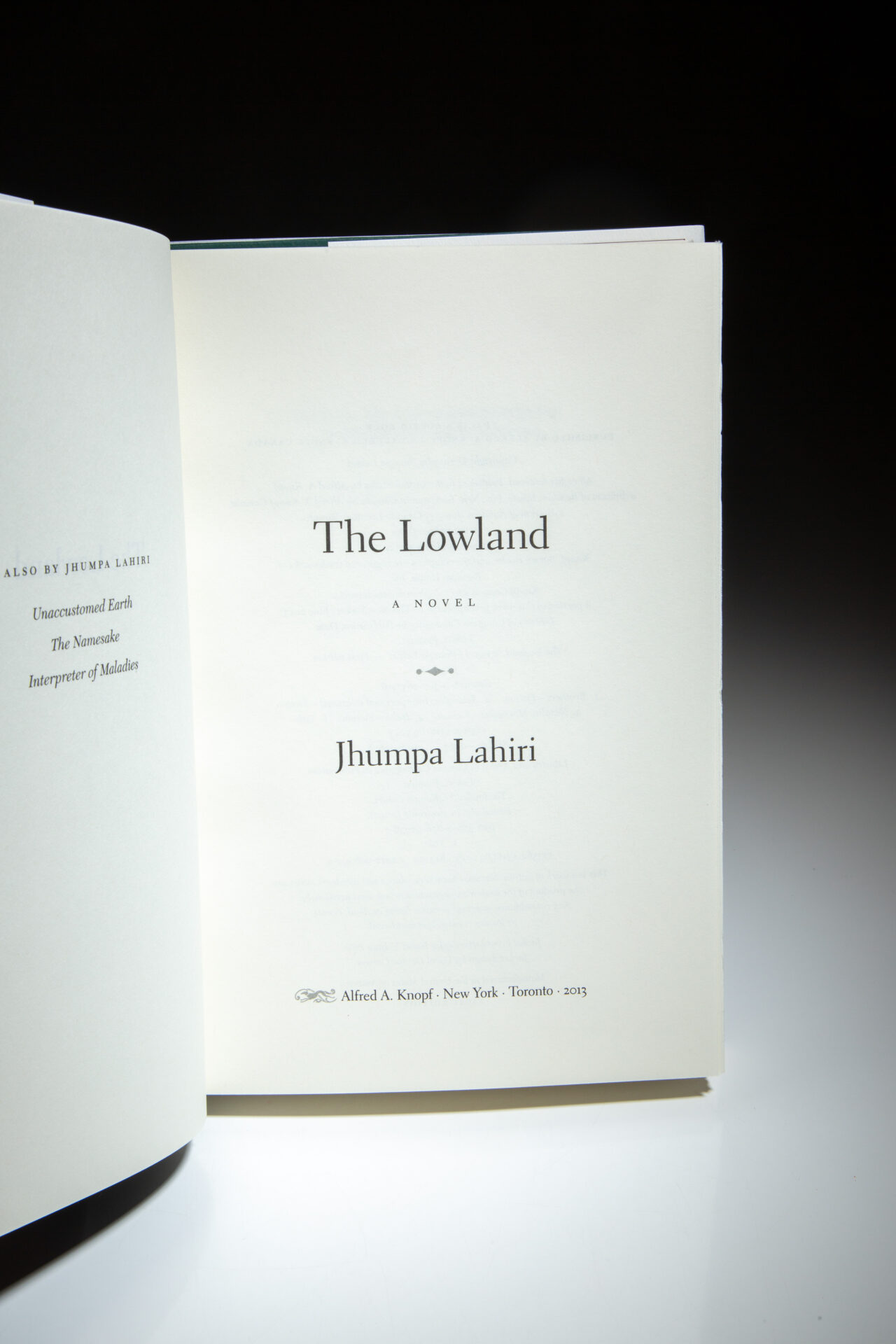 The Lowland - Image 4