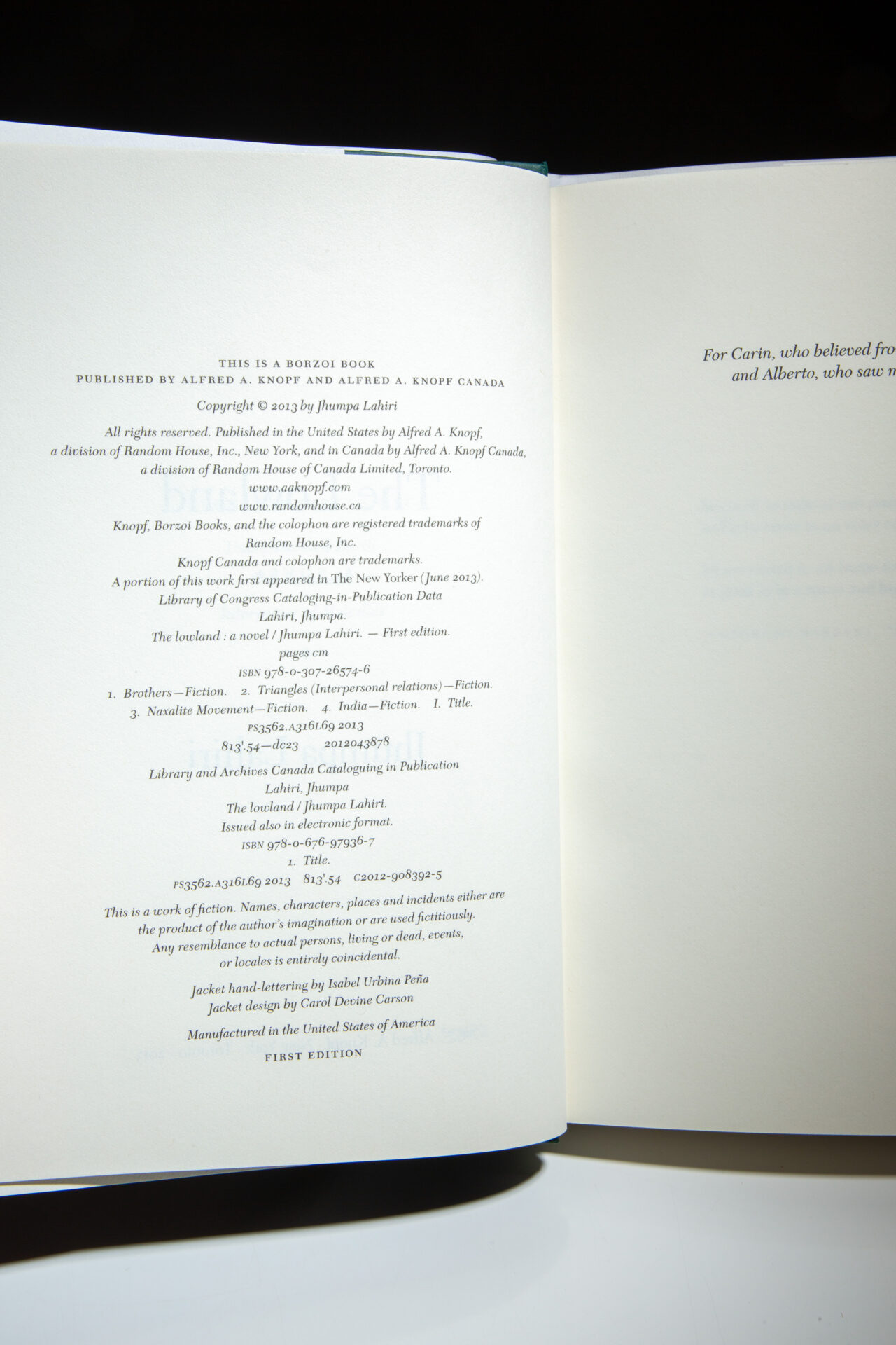 The Lowland - Image 5