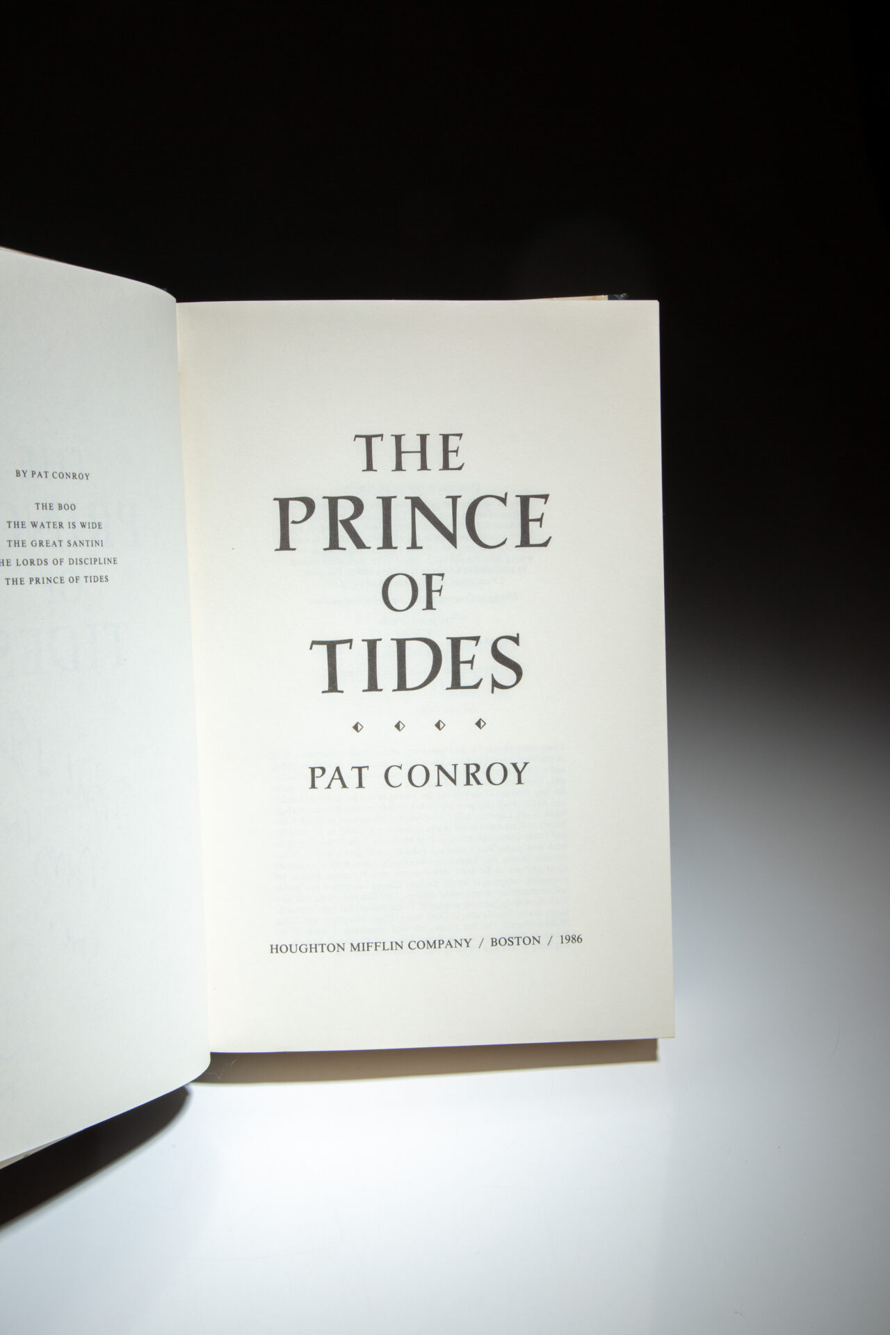 The Prince of Tides - Image 4