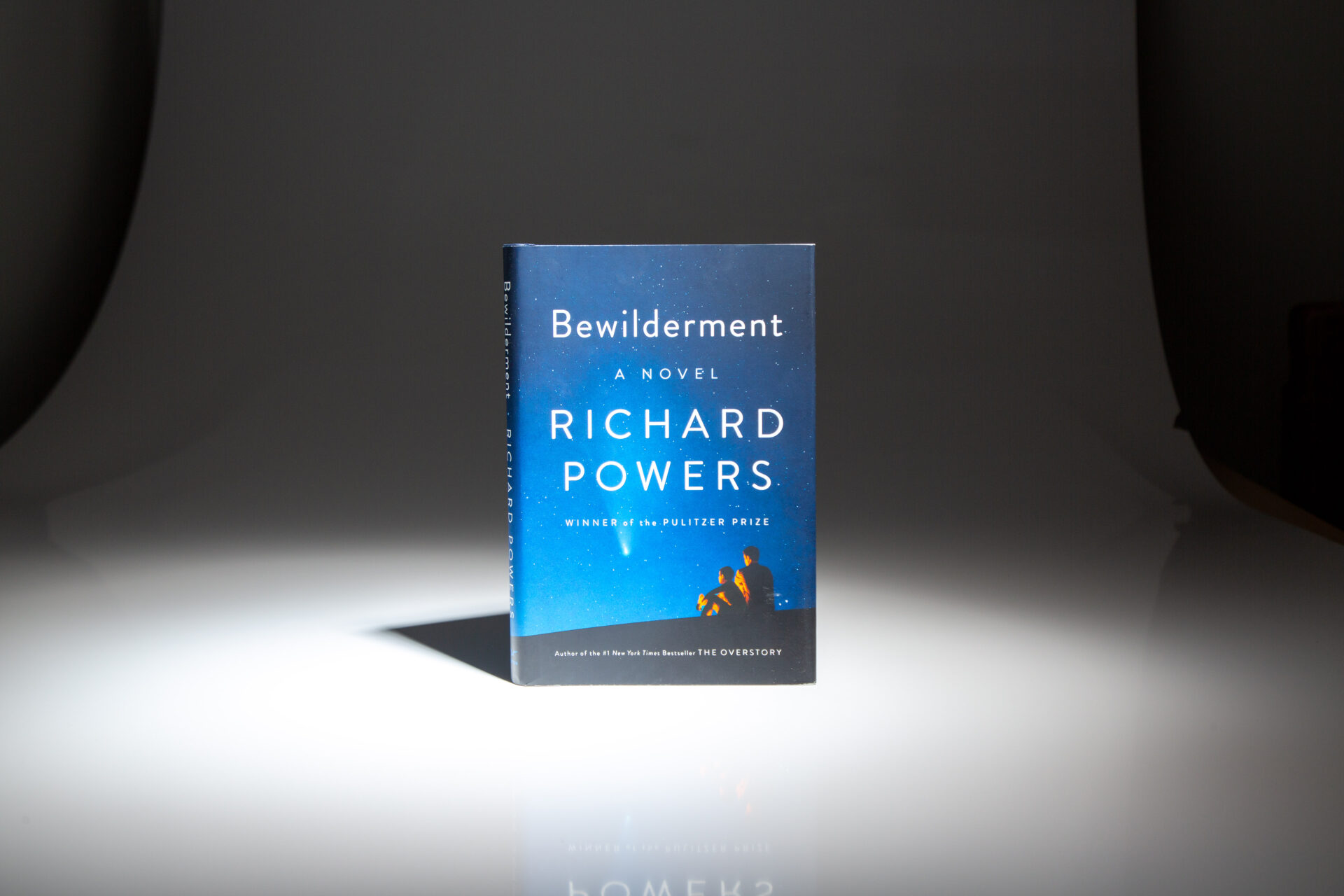 Bewilderment - Image 6