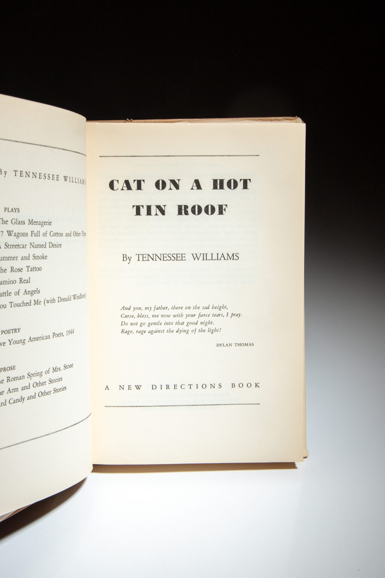 Cat On A Hot Tin Roof - Image 3